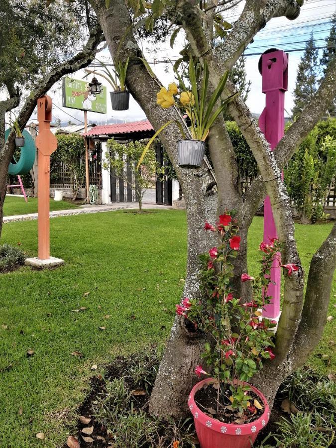 Chester'S B&B Tababela Εξωτερικό φωτογραφία