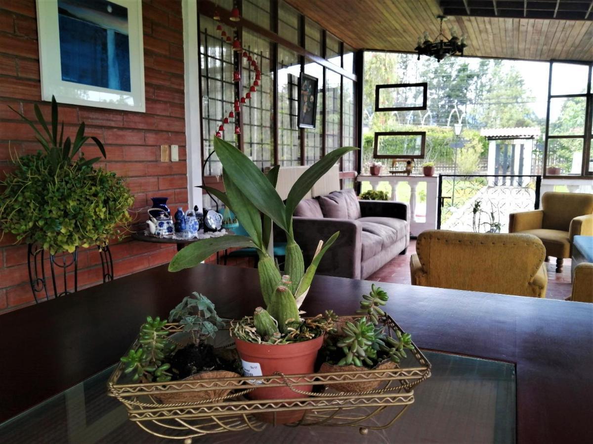 Chester'S B&B Tababela Εξωτερικό φωτογραφία