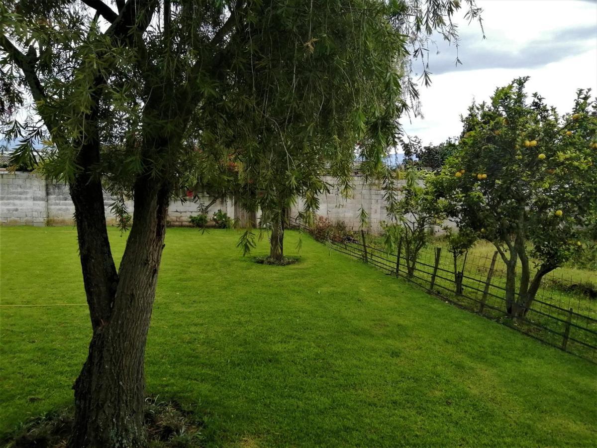 Chester'S B&B Tababela Εξωτερικό φωτογραφία